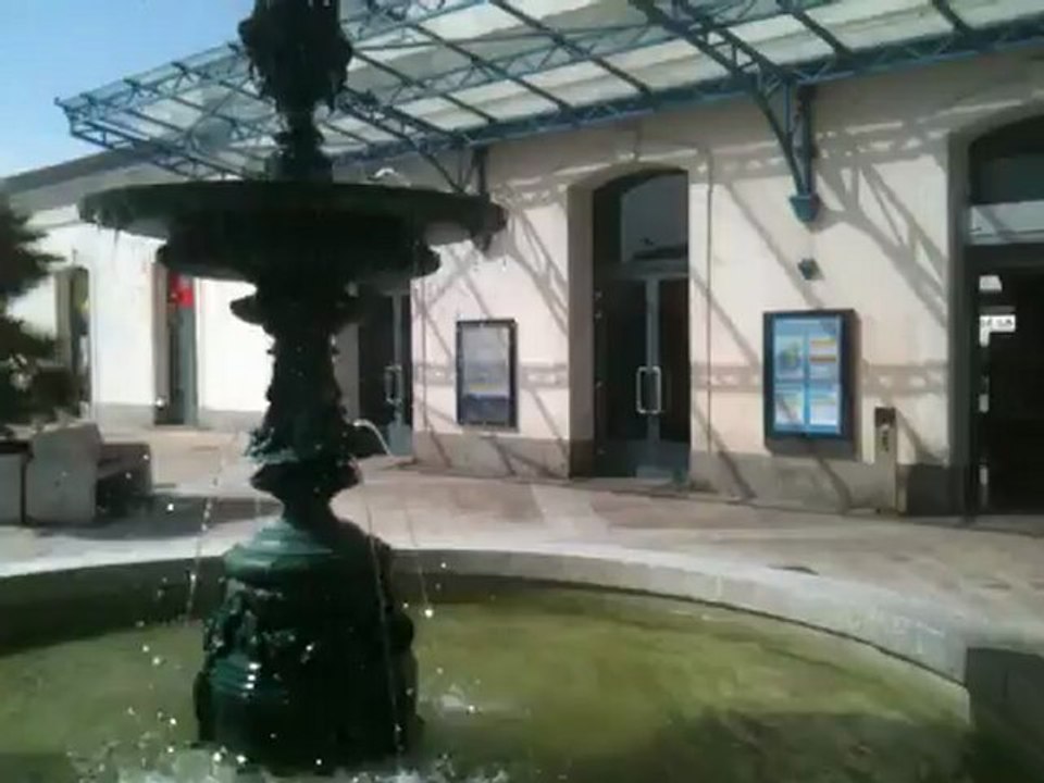 Goélandicule