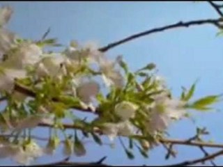 AU DELA DU TEMPS ..TIME AND SPACE