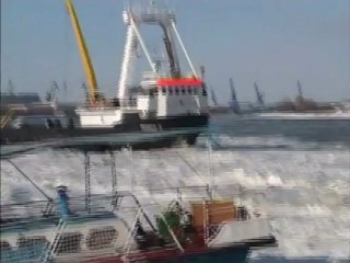 Les brise-glace naviguent sur un Danube gelé