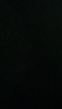 Bruit moteur Laguna II 1.9 DCi 120