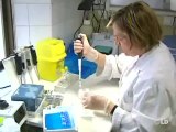 Más de 20 casos sospechosos de gripe porcina en España