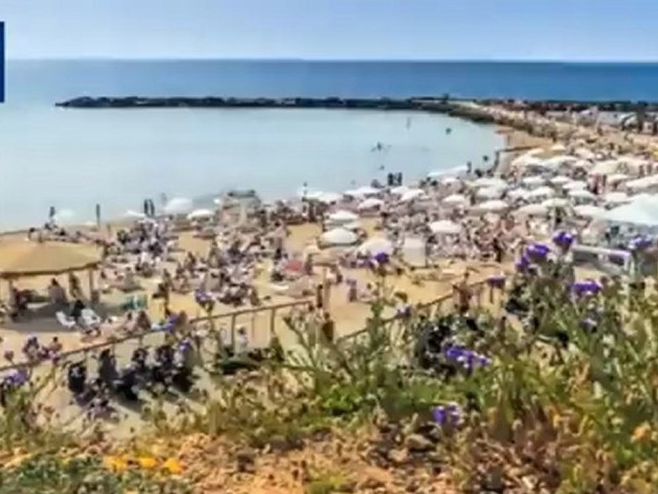النشرة الاخبارية 25-06-2012