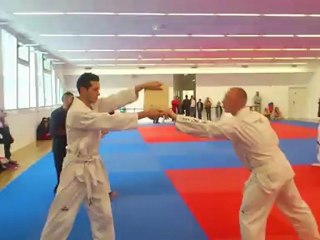 taekwondo cassage planche 2
