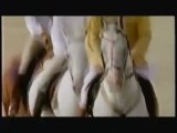 Arabian Desert - Horse Lover Gifts, Videos of Horses