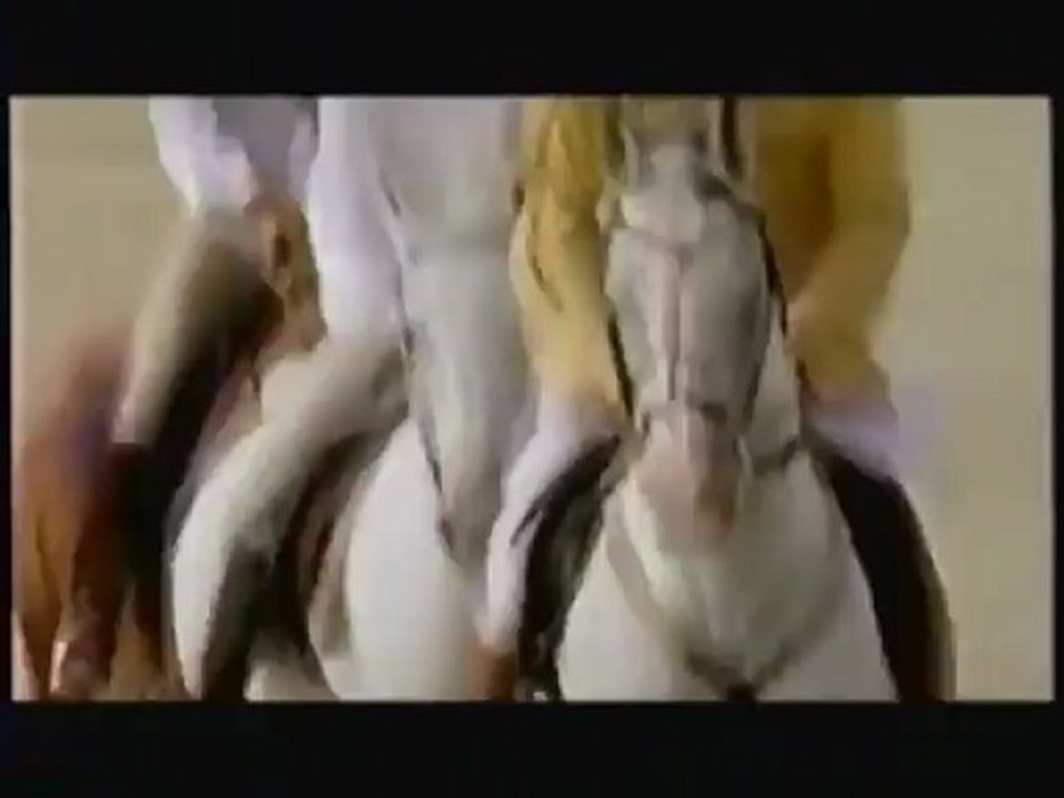 Arabian Desert - Horse Lover Gifts, Videos of Horses