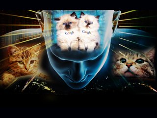 Google "Brain" Loves Watching Cat Videos