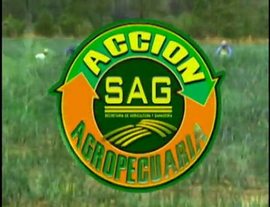 Programa Acción Agropecuaria de la Secretaría de Agricultura y Ganadería - SAG, Canal 8 TNH. 25 de junio del 2012.