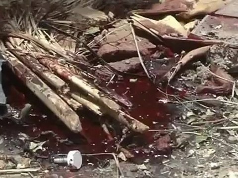 Deadly blasts target Iraqi tribal sheikh's house