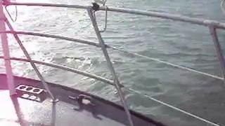 Annagay Shorten boat tour