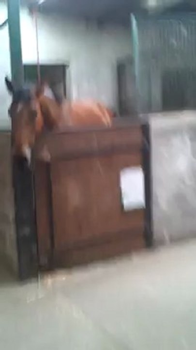 xp