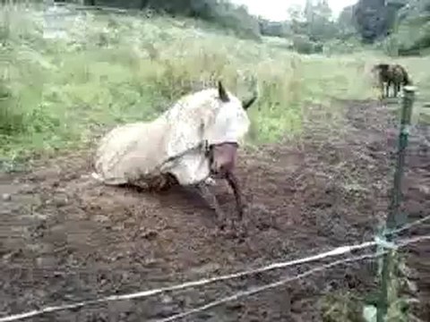 tous les moyens sont bons......