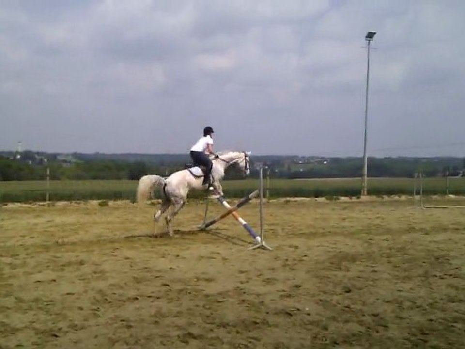 Cours d'équitation obstacle