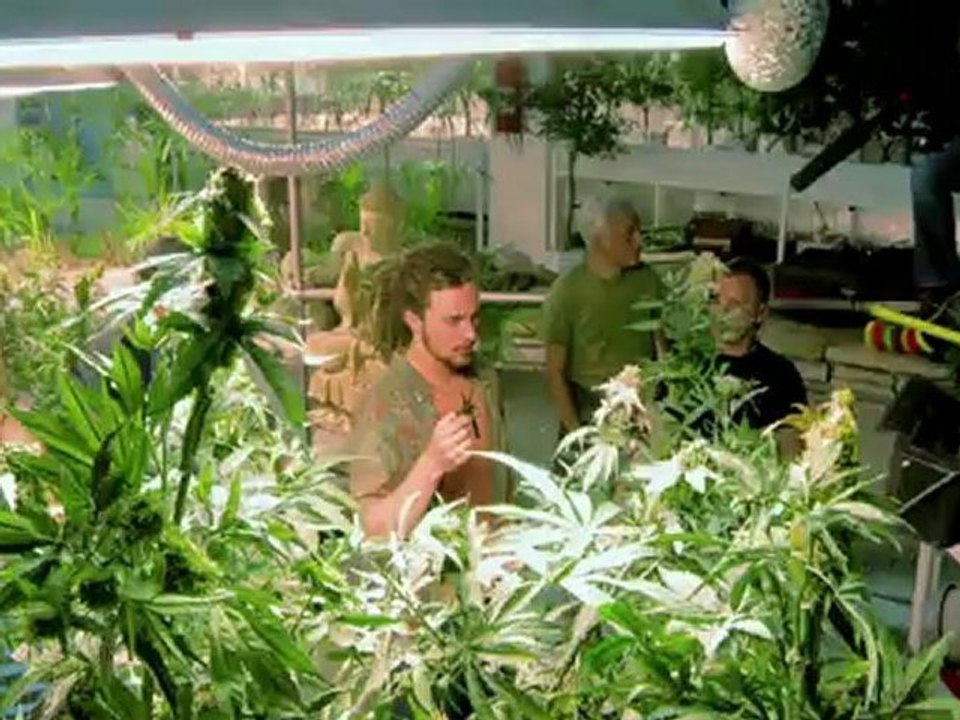 Savages - On the Set: The Grow House