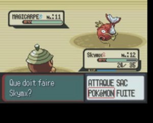 Wt Pokemon Rubis 5/Voyage a Myokamatekamate-kama