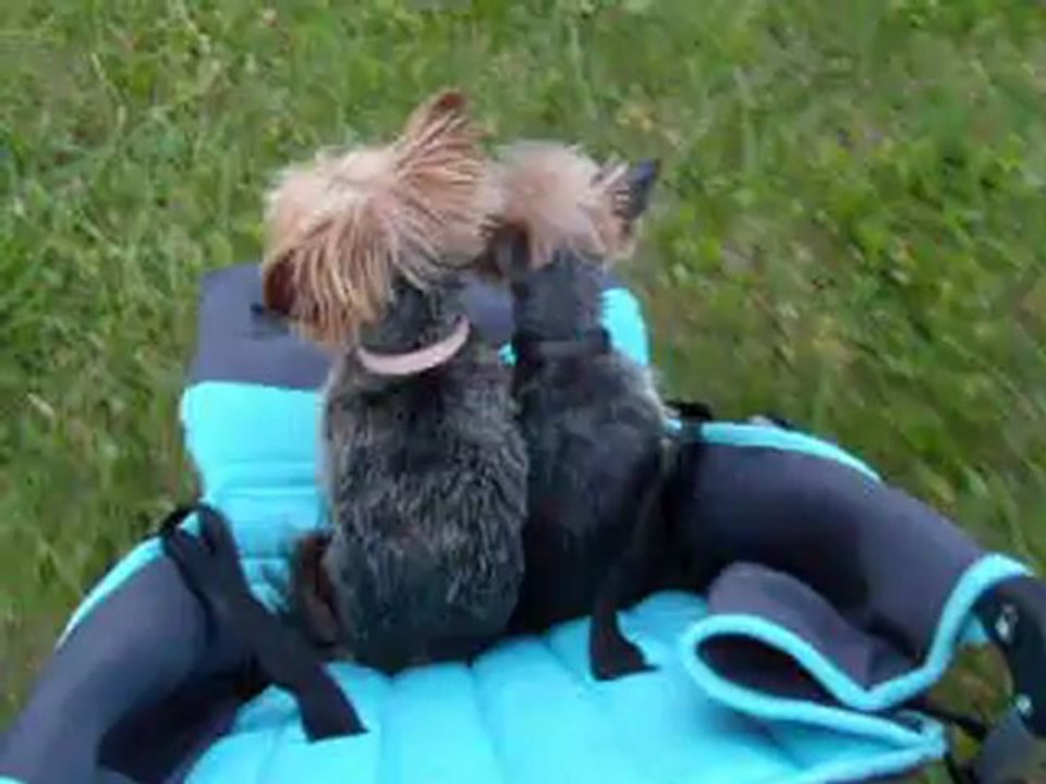 gino et mimi en balade