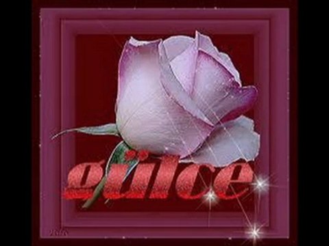 sevdigim-kadn şiir hasan-ali-akhancı yorum mehmet kovancı