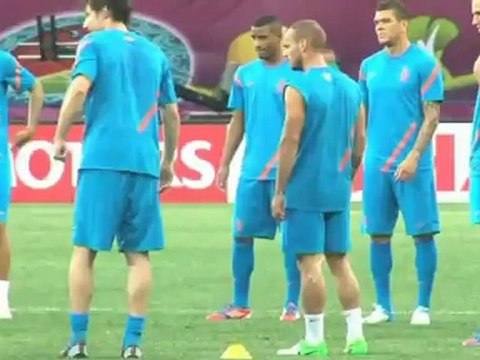 Van Marwijk resigns as Dutch coach