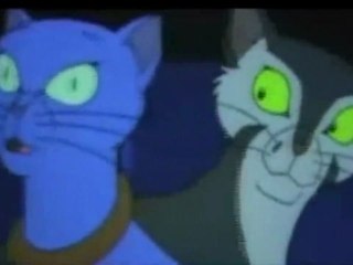 Felidae Holy Diver- music