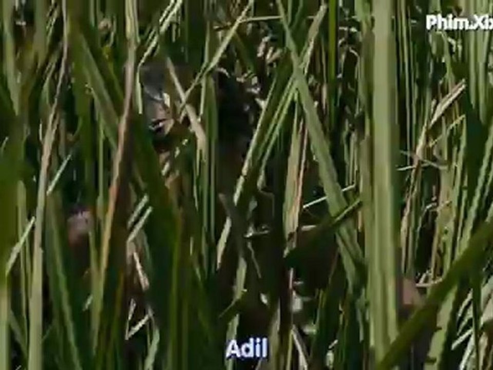 VoDaiDamMau_clip1