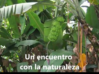 Conferencia de Juveniles 2012