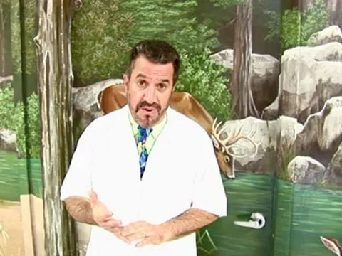 Animal Hospital Deerfield Beach, Pet Grooming Deerfield Beach, Pet Boarding Deerfield Beach, Vet Deerfield Beach