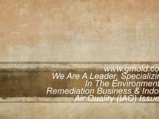 Specialists In Mold Remediation South Florida. Certified Mold Removal Experts South Florida.