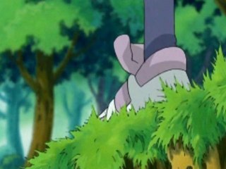 DFAbridge (A Digimon Frontier Parody): Episode 2