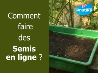 Comment faire des semis en lignes ?