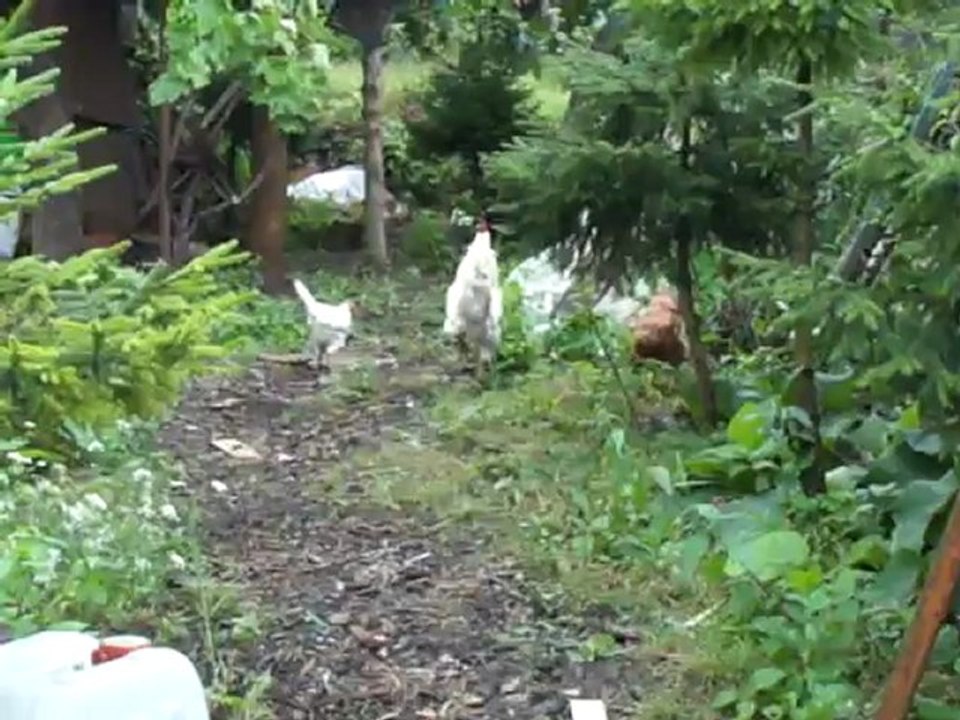 Doğal yaşamımızdan