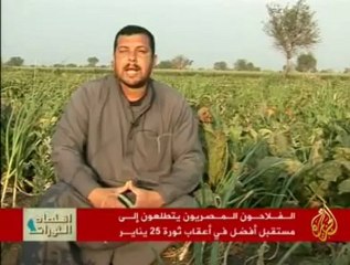 الفلاح المصري يتطلع إلى مستقبل أفضل بعد الثورة