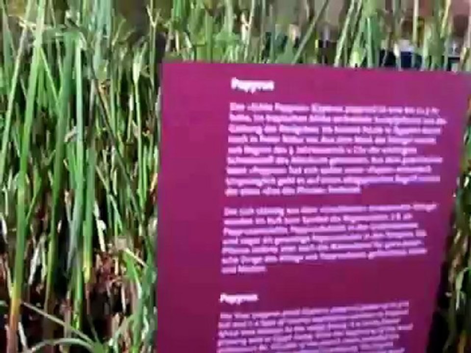 Tutanchamun: die Tut-Ausstellung München 2009