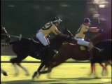 Polo Kings | Horse Riding Videos and DVDs | Equine DVD