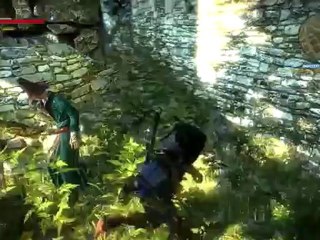 [S3][P6] The Witcher 2