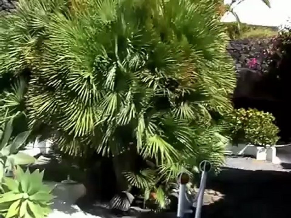 Lanzarote: Fundación César Manrique Museum und Stiftung