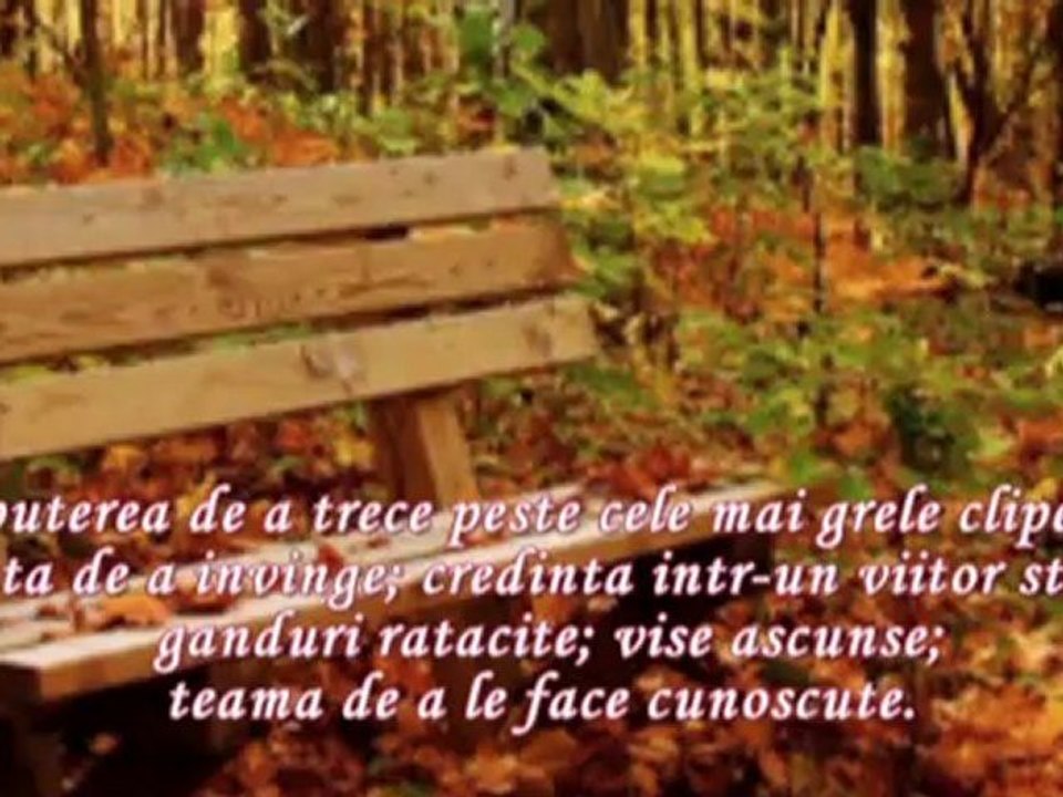 DACA BANCILE AR SPUNE POVESTI