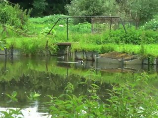 Voyennes : arts aux jardins