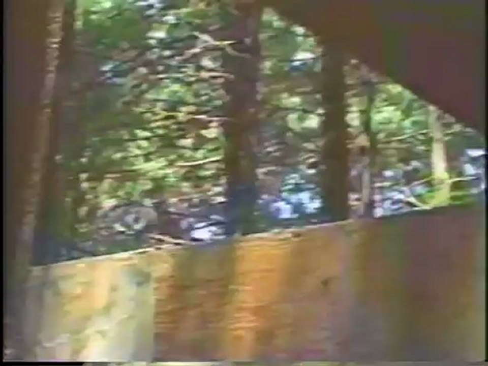 Cannibal Campout (1988) Pillows - the ultimate weapon against cannibals