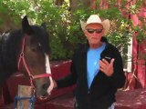 Horseback Riding Ottawa - How do I control my horse while horseback riding?