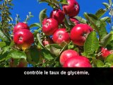 Vidéos courtes – à suivre absolument - La pomme et ses bienfaits