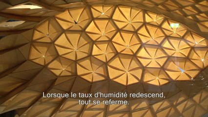 Multiversités créatives : Entretien avec Achim Menges et Steffen Reichert