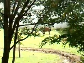 maison a San Cristobal (ojo de agua)