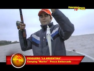 Panorama de Pesca TV 80
