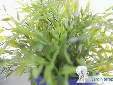 Rehabilitación Neurológica, Unidad de daño cerebral - Las Rozas de Madrid - Centro Meta