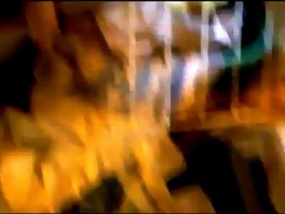 Bretzel le gentil vison (bisous, jeux et poutpout) - my pet mink