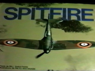 Vol Cricri Mc15 et Spitfire