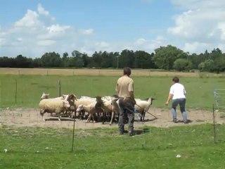 Moutmouts à Combreux