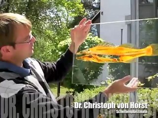 Kunst im Brunnenhof 2010 - Schrobenhausen vom 13-16.05.2010