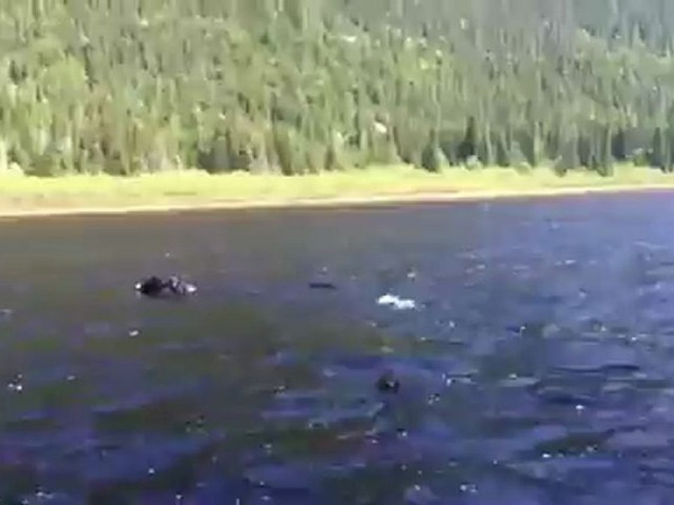 Partie de Pêche - juin 2012