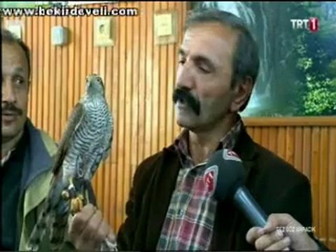 Bekir Develi - Gez Göz Arpacık - Rize / Çayeli - Atmacalar