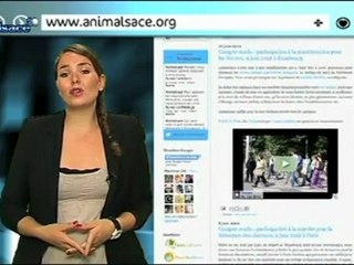 Alsace 2.0 : Les bons plans du net en Alsace (27/06)